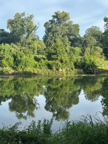 Colorado Landing RV Park photo 2